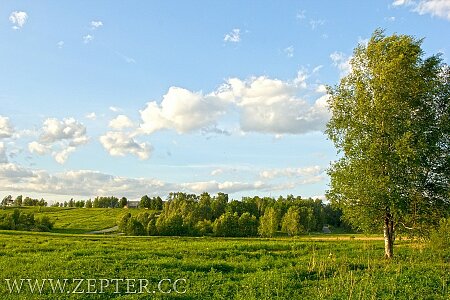 Майские фотообои от Zepter